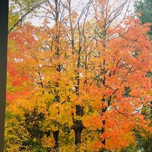 Meet your Posher, Eva